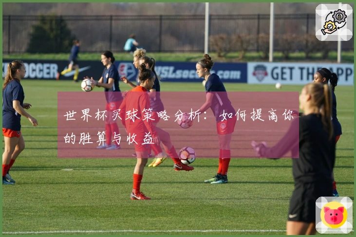 世界杯买球策略分析：如何提高你的胜算与收益