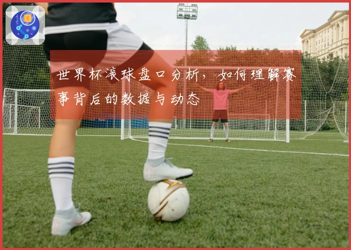 世界杯滚球盘口分析，如何理解赛事背后的数据与动态