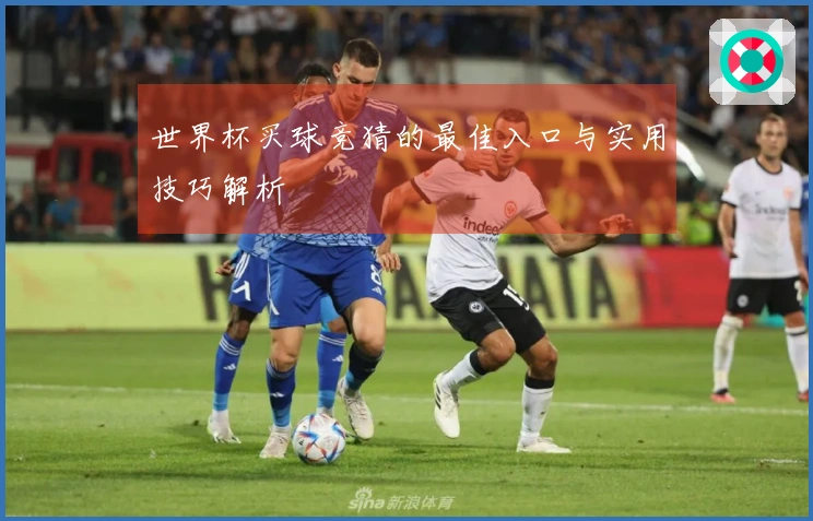 世界杯买球竞猜的最佳入口与实用技巧解析
