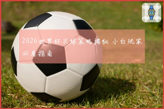 2026世界杯买球策略揭秘 小白玩家必看指南