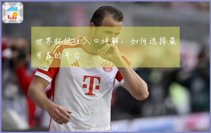 世界杯投注入口详解，如何选择最可靠的平台