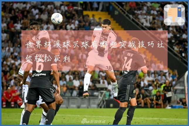 世界杯滚球买球有哪些实战技巧让你轻松获利