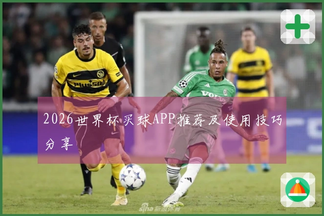2026世界杯买球APP推荐及使用技巧分享