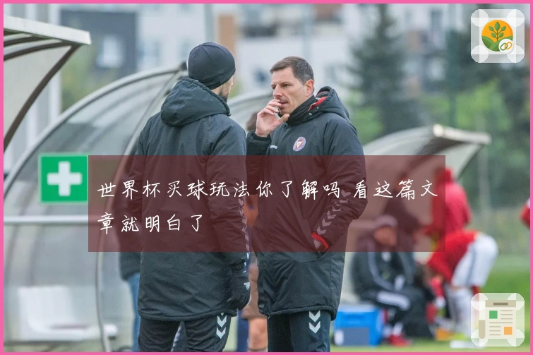 世界杯买球玩法你了解吗 看这篇文章就明白了