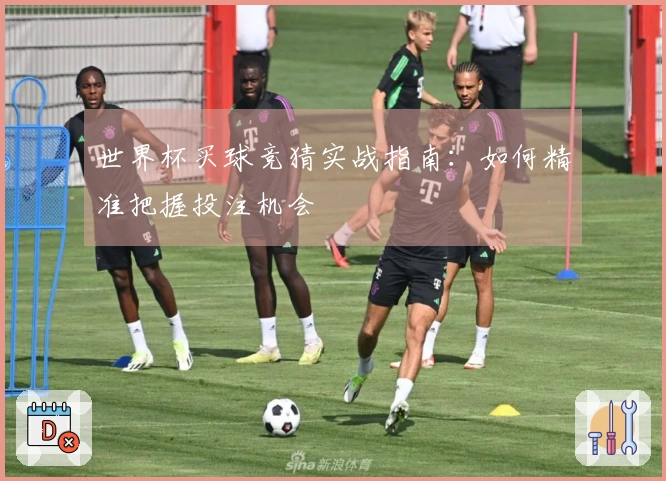 世界杯买球竞猜实战指南：如何精准把握投注机会