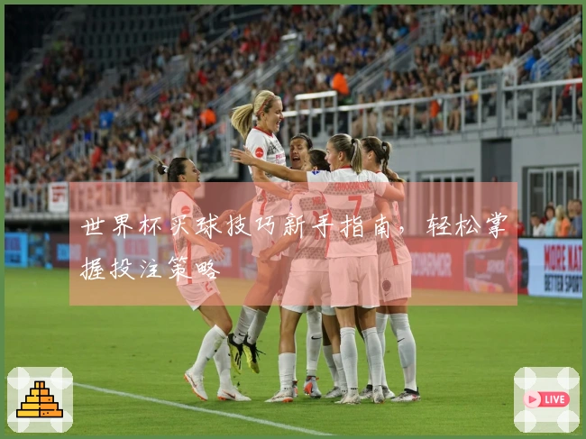 世界杯买球技巧新手指南，轻松掌握投注策略