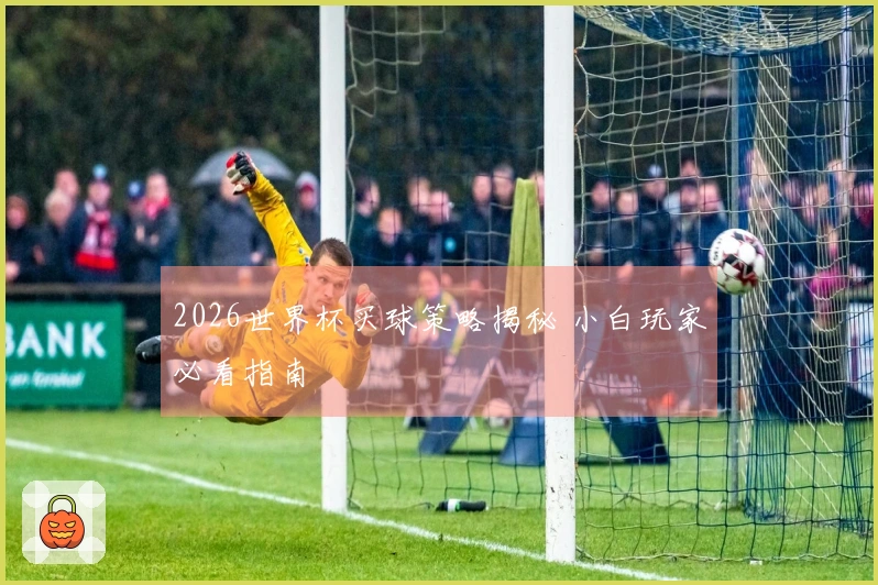 2026世界杯买球策略揭秘 小白玩家必看指南