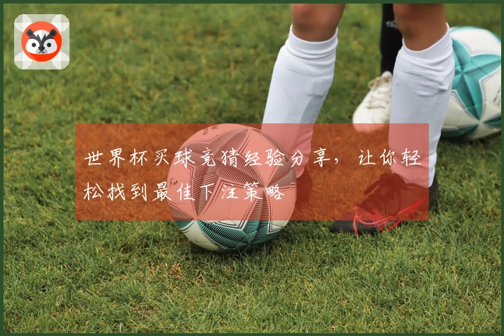 世界杯买球竞猜经验分享，让你轻松找到最佳下注策略