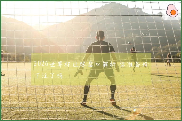2026世界杯让球盘口解析 你准备好下注了吗