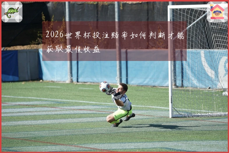 2026世界杯投注赔率如何判断才能获取最佳收益
