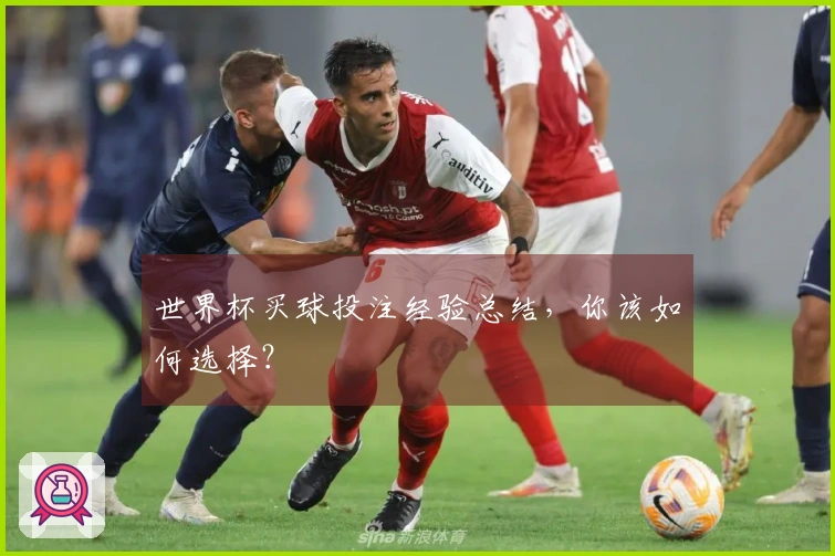 世界杯买球投注经验总结，你该如何选择？