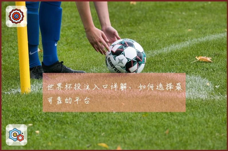 世界杯投注入口详解，如何选择最可靠的平台