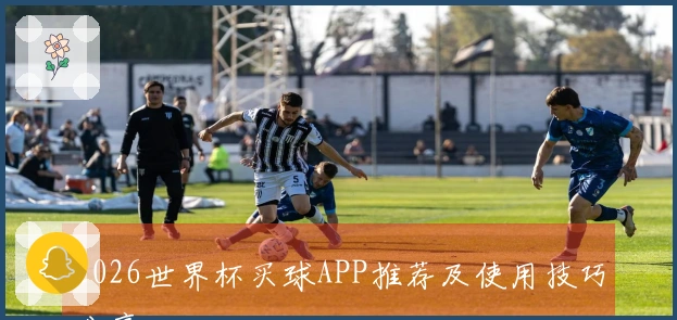 2026世界杯买球APP推荐及使用技巧分享